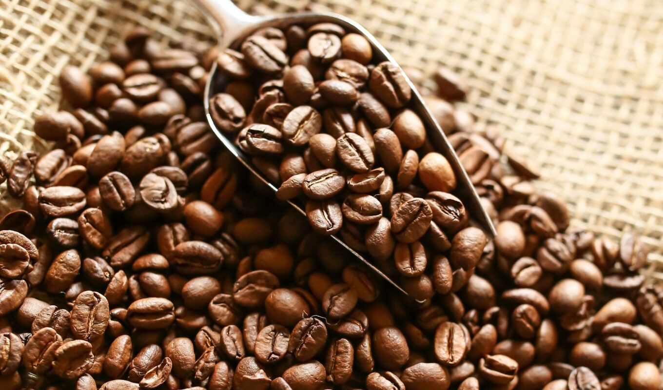 coffee, pictures, grains, photos, images, stock, bean, beans, getty