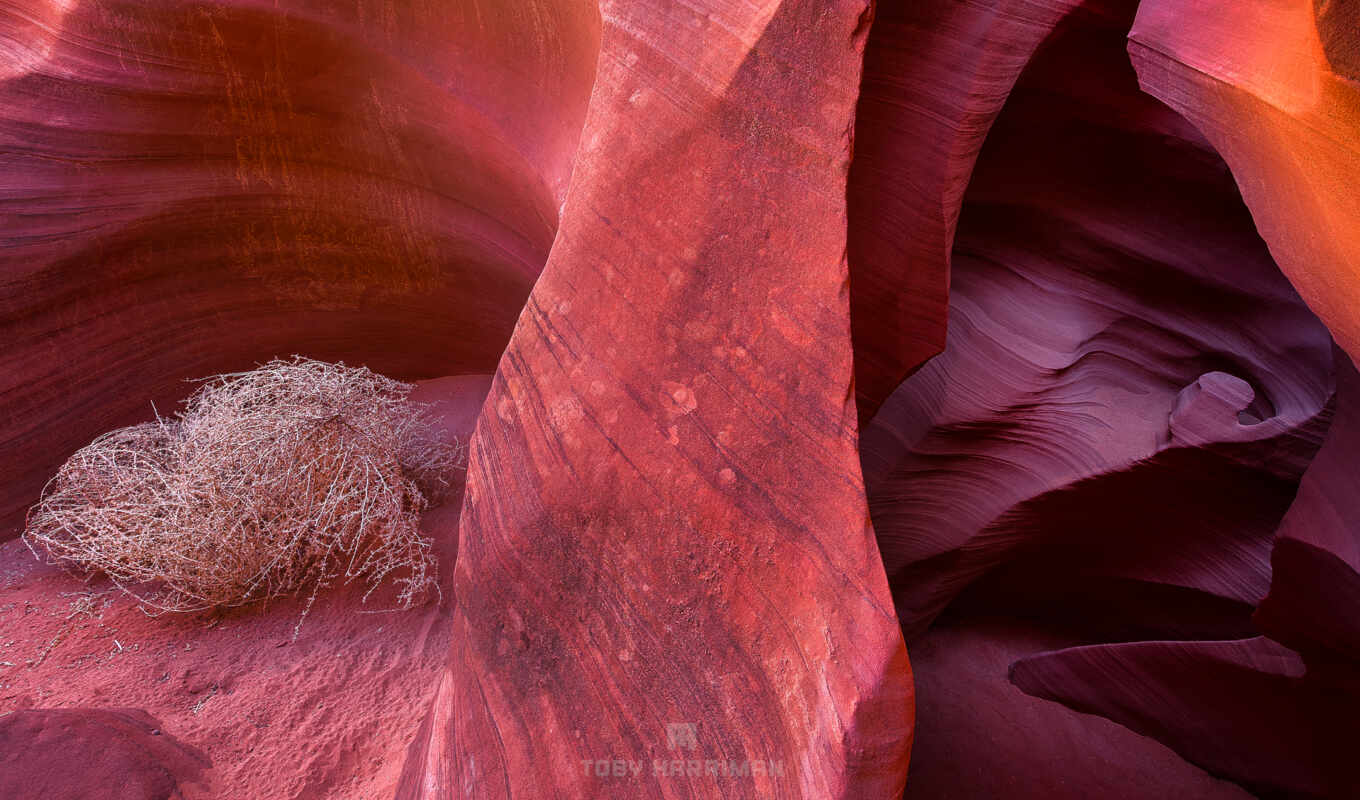texture, canyon, arizona, antelopes, rocks
