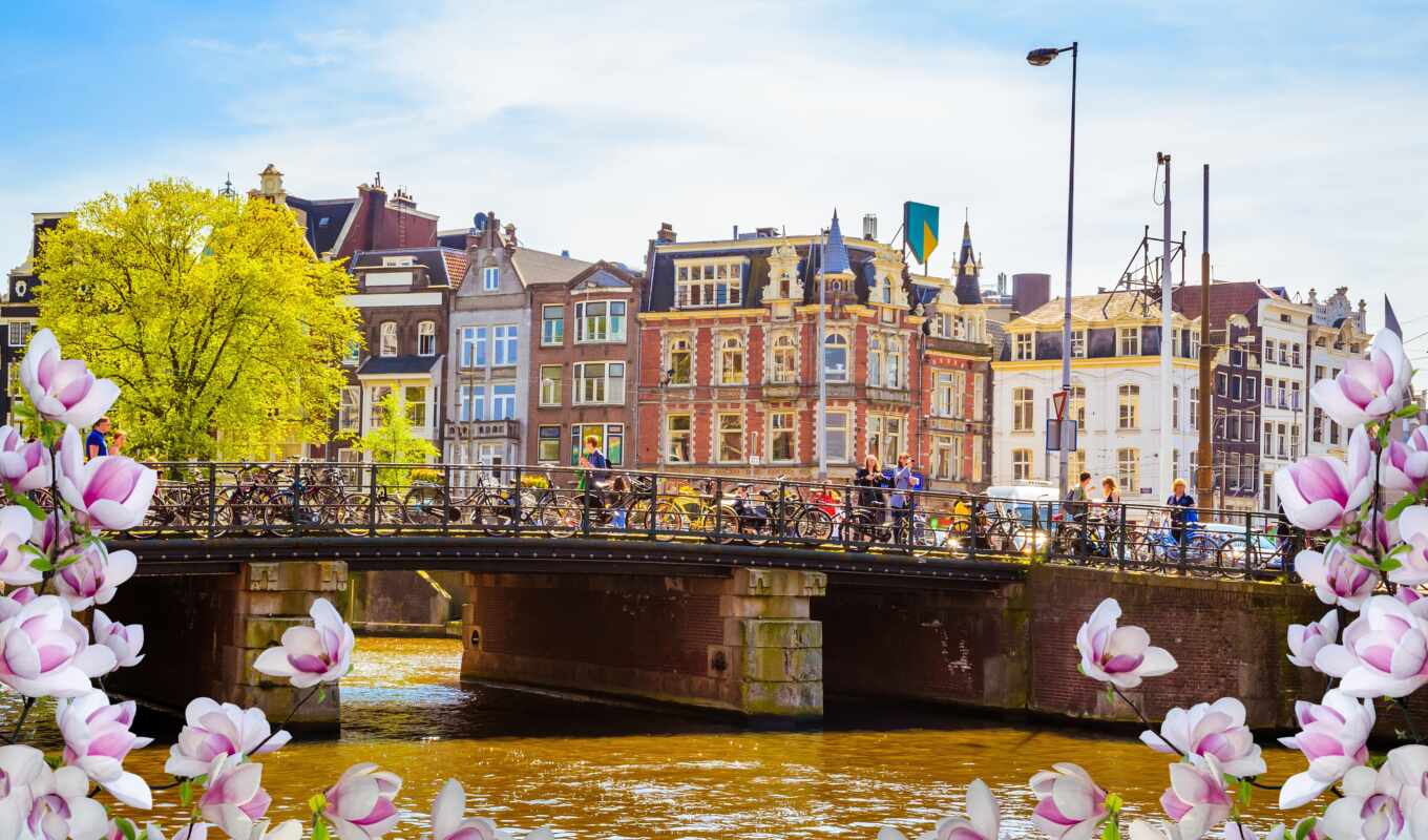 flowers, Bridge, Amsterdam, Netherlands, spring, river, allard, carnaval, veneza