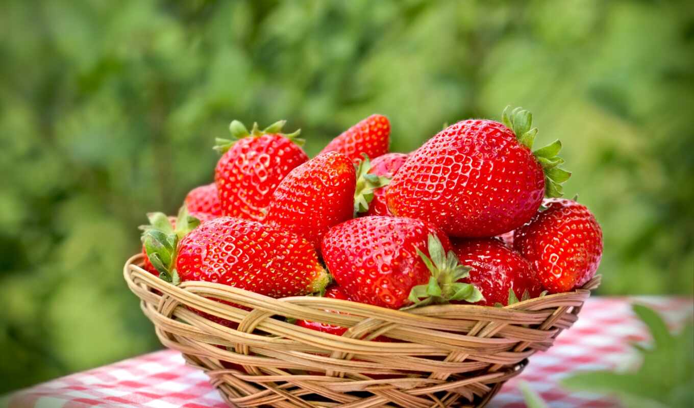 strawberry, product, excerpt, address, nutrition