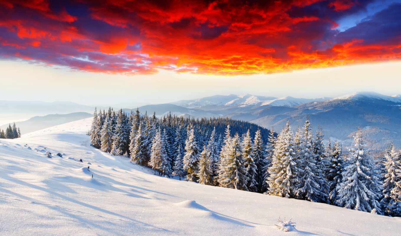природа, небо, снег, winter, лес, гора, trees, заснеженный, елка