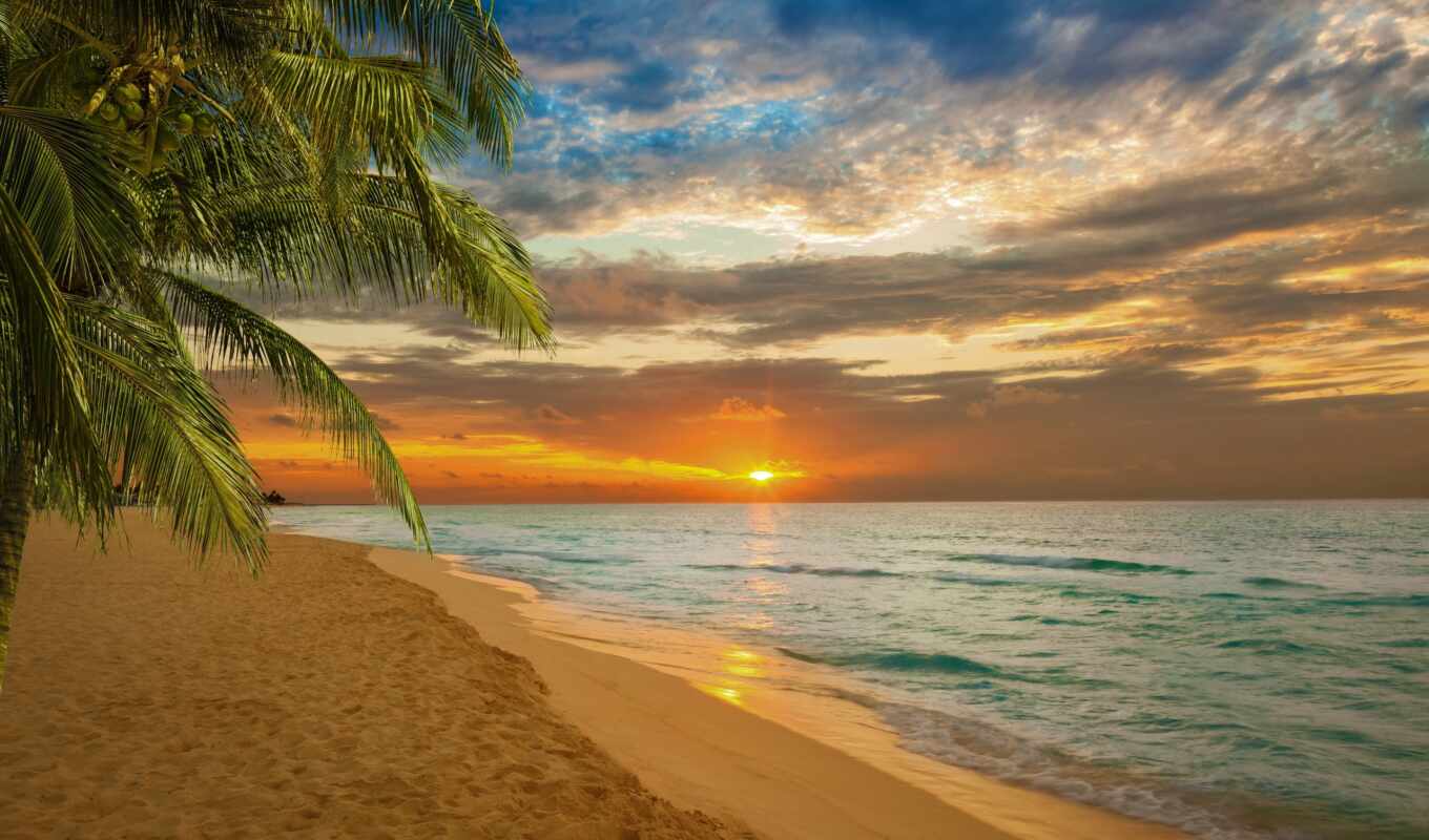 природа, sun, закат, пляж, море, ocean, горизонт, palm, tropical, zone, permission