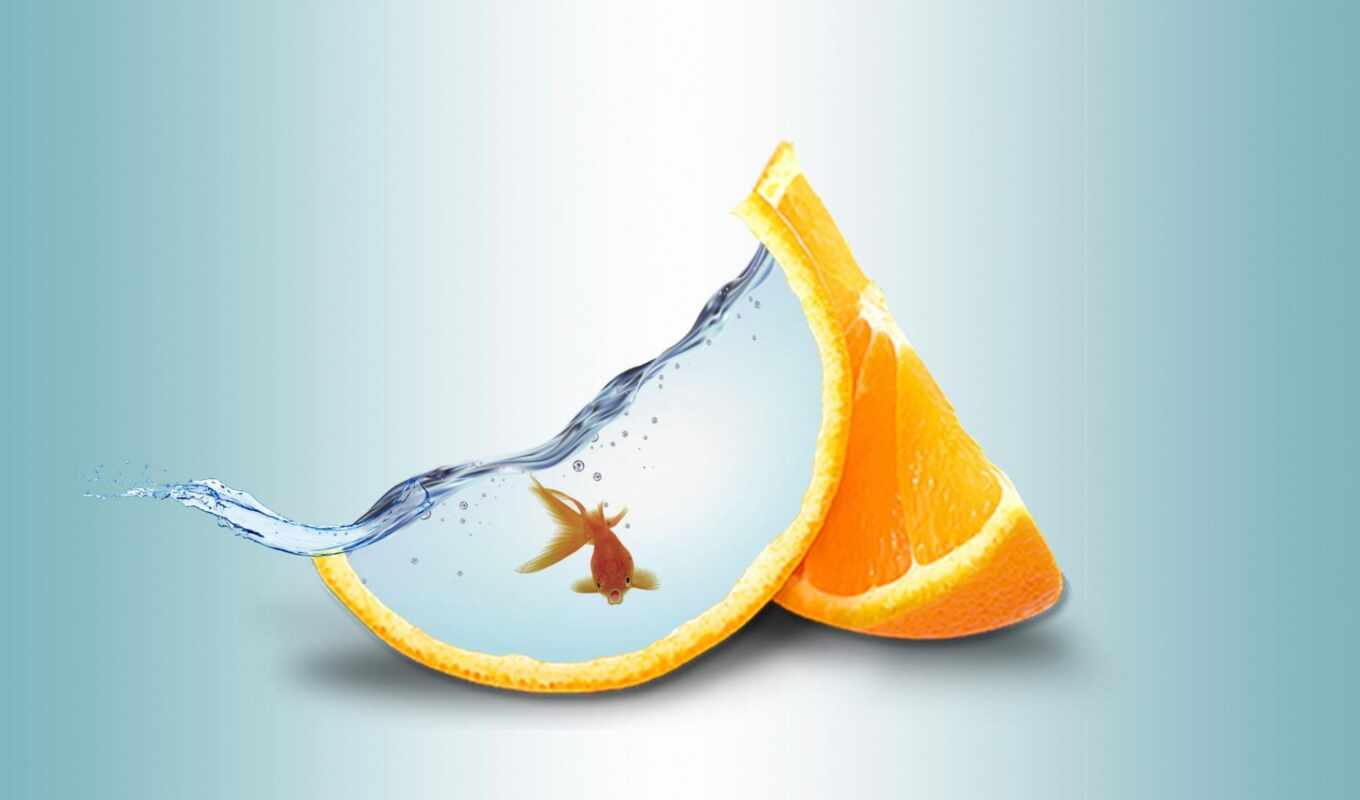 water, золотистый, fish, оранжевый