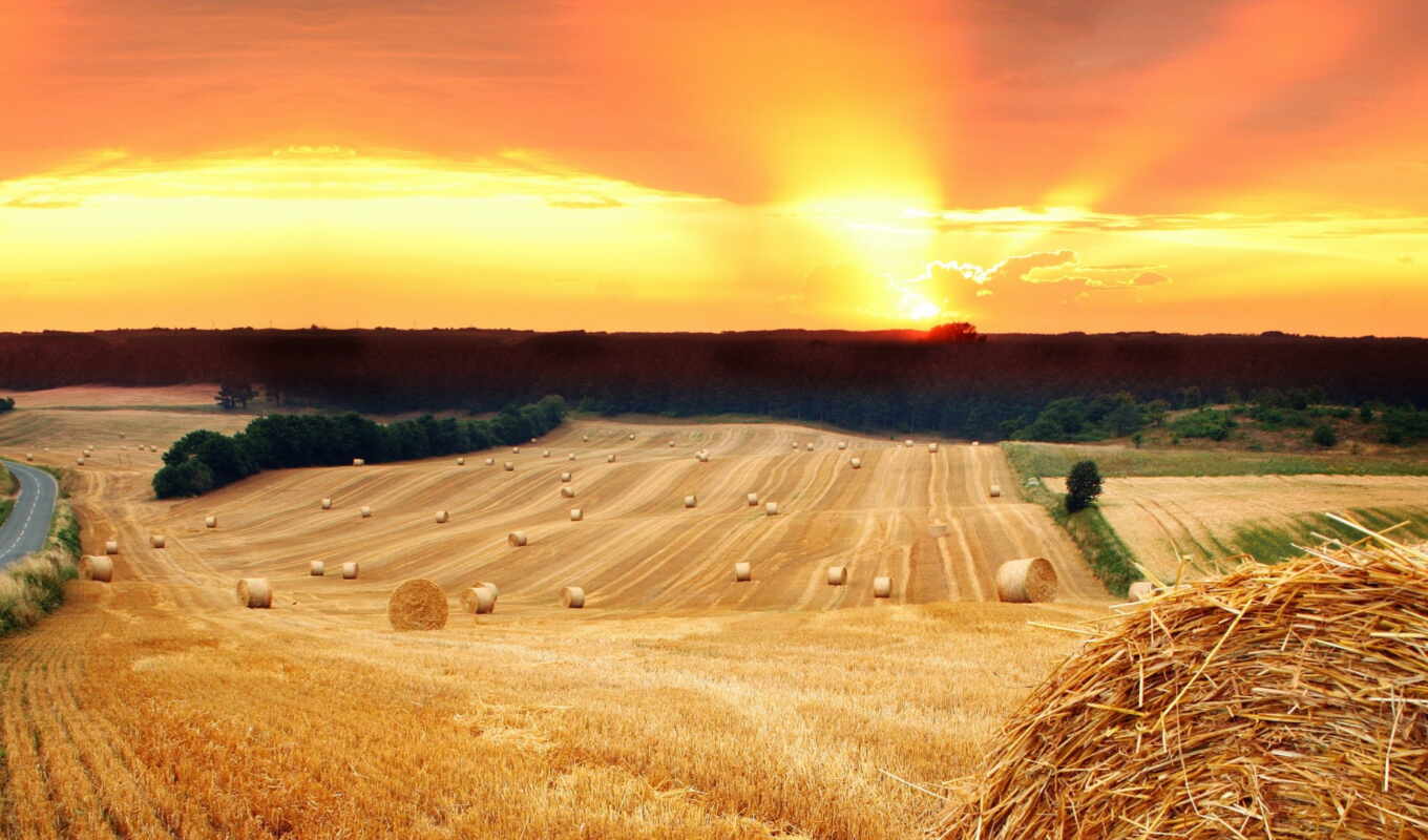 sun, sunset, field, straw, hay, stack, tree