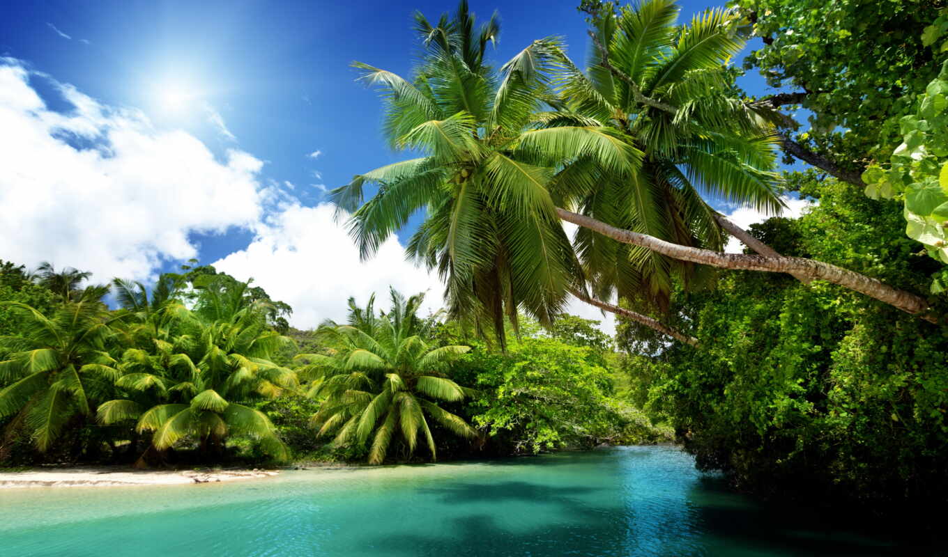 природа, blue, sun, море, пальмы, ocean, emerald, tropics, oblaka