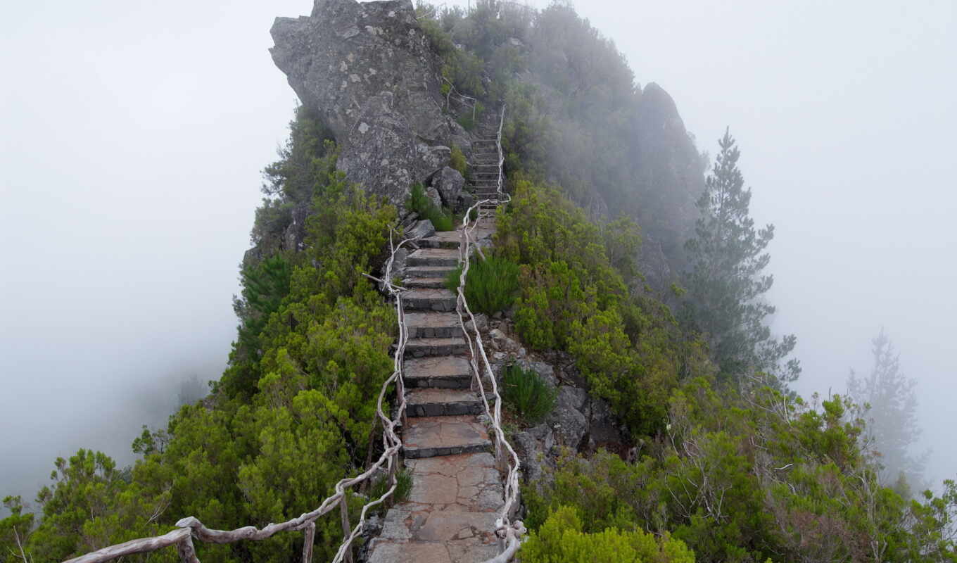 гора, лестница, туман, step, stohod