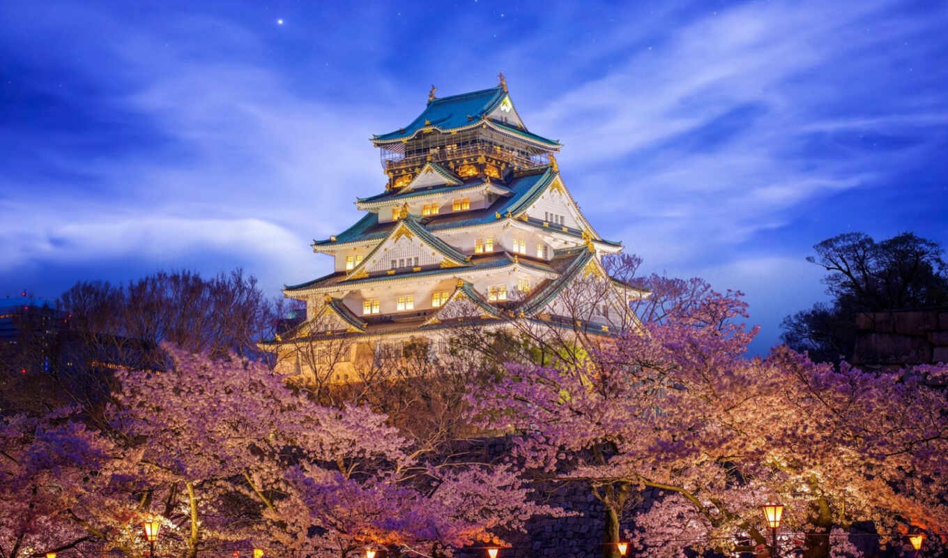 petals, castle, cherry, park, Japan, osaka, pazlyi