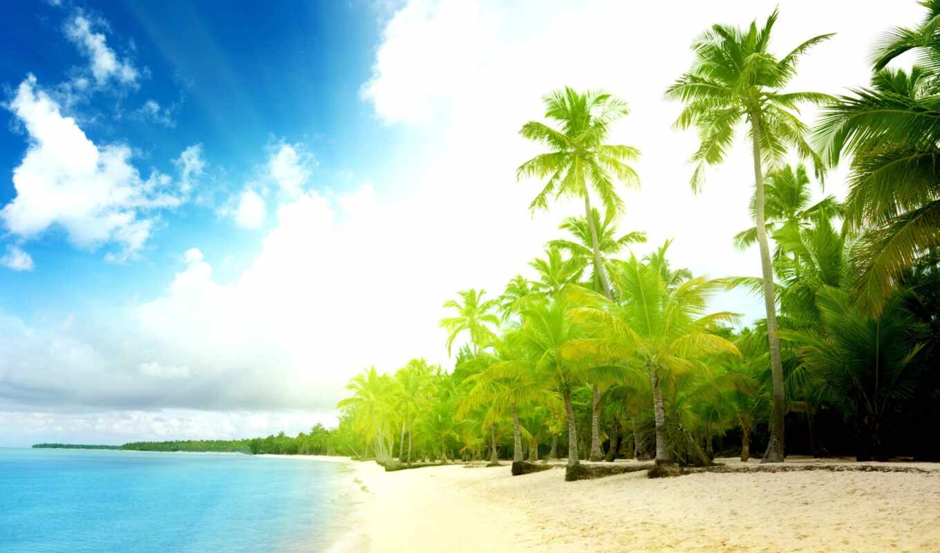 природа, summer, sun, пляж, море, красивый, shirokoformatnyi, funart