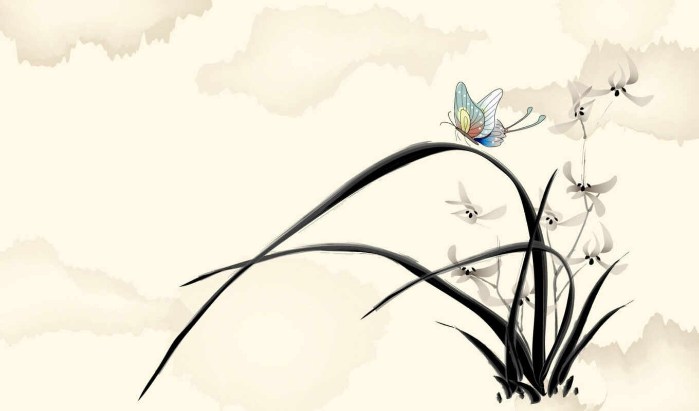цветы, бабочка, trang, drawing