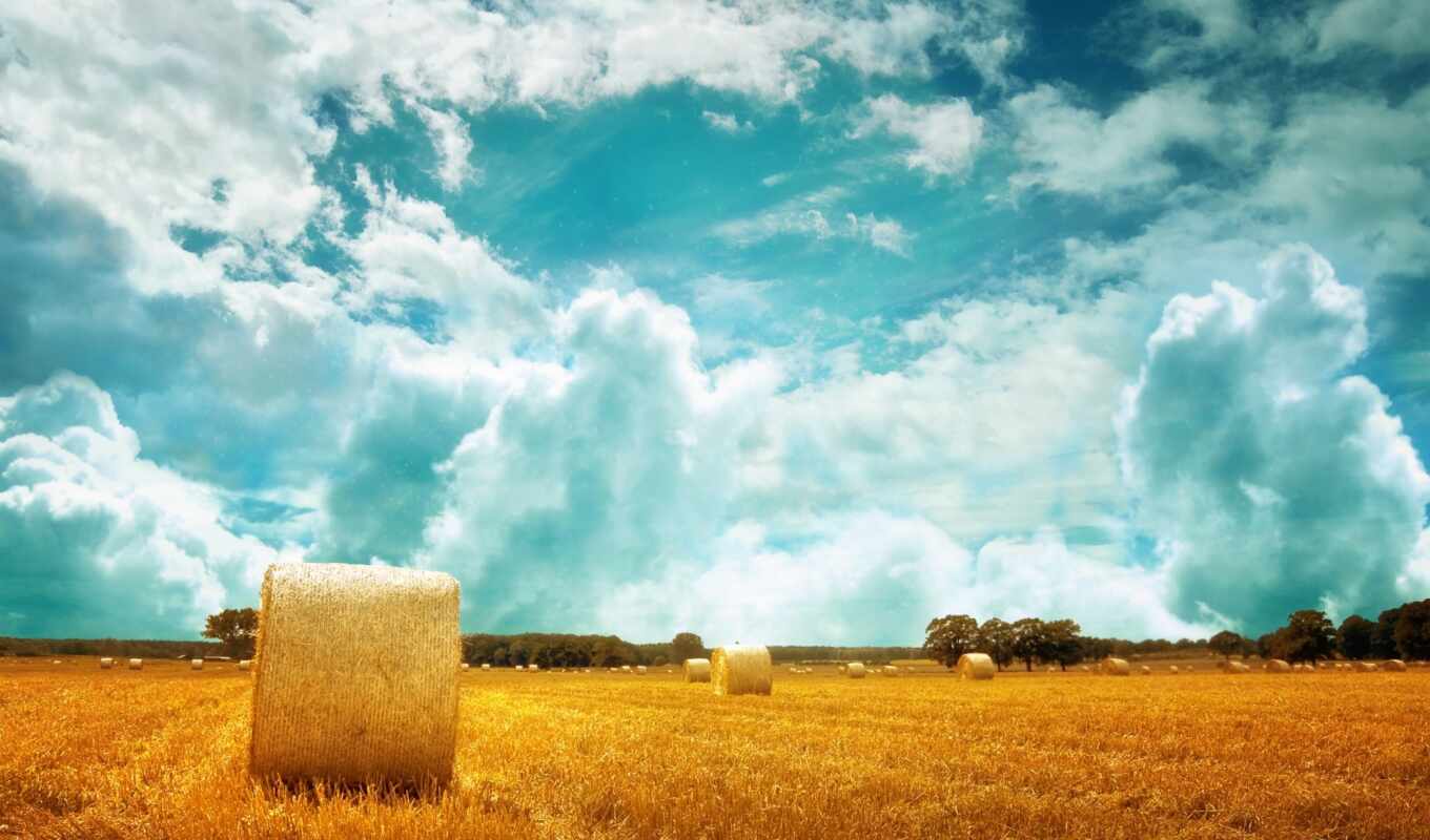 nature, sky, summer, field, landscape, horizon, hay, stack, wheat, cloud, margin