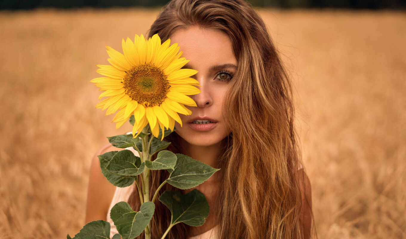 woman, sunflower
