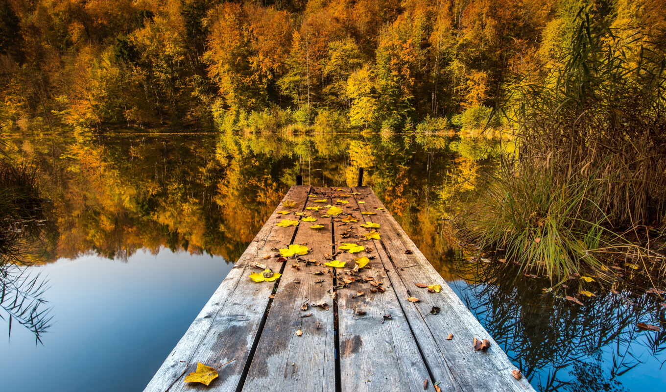 озеро, природа, листья, самые, красивые, мост, оригинал, осень