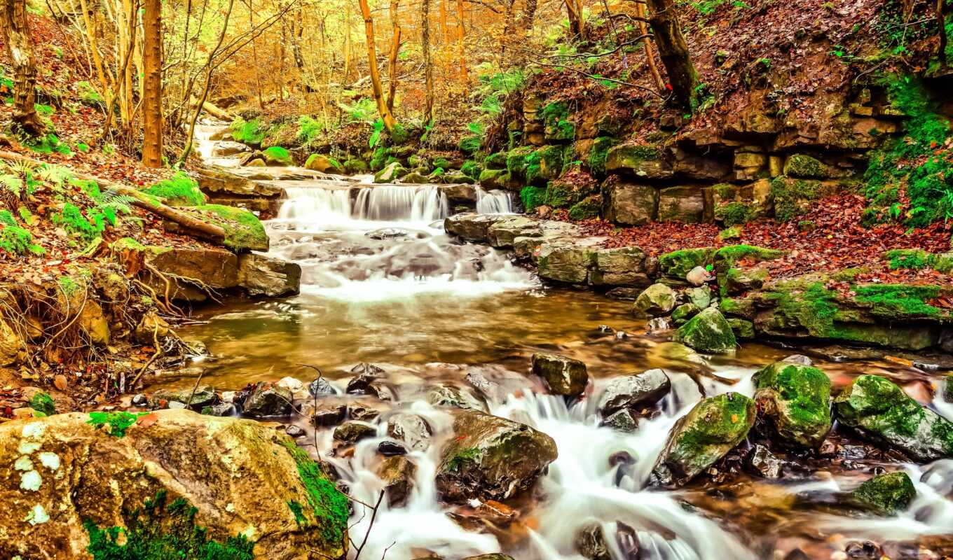 nature, picture, forest, autumn, waterfalls, trees, creek, stones, dingo