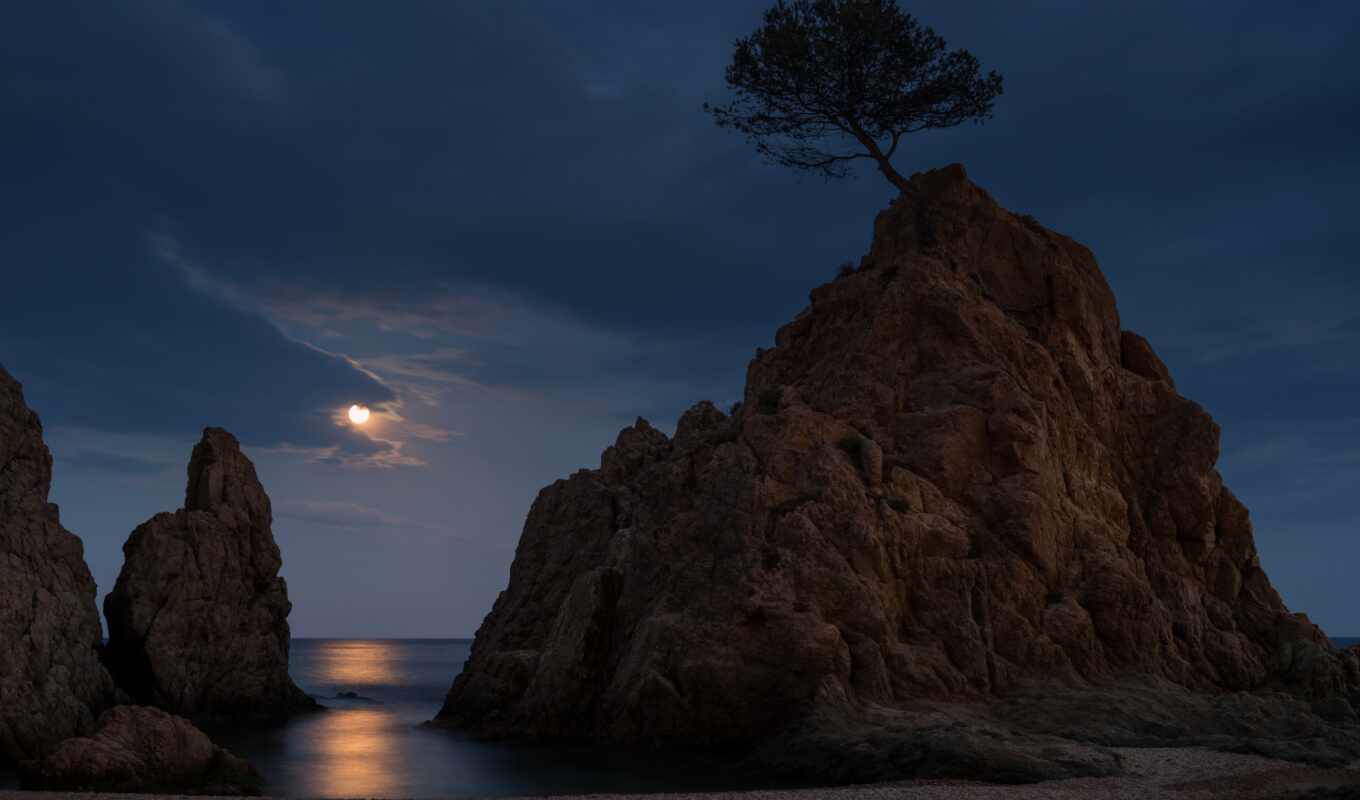 природа, фон, дерево, ночь, луна, rock, море, marine, побережье, ночное, пасмурный