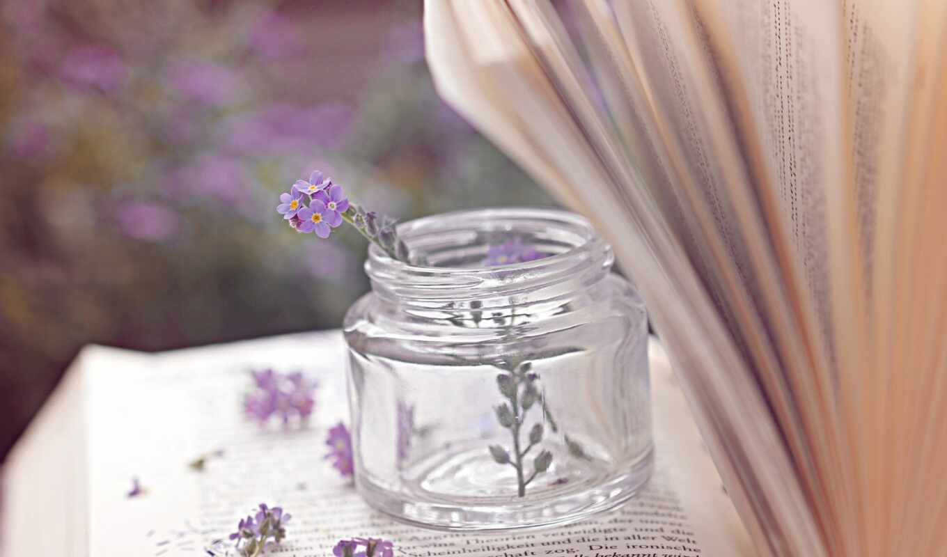 nature, flowers, book, vintage, pot, petal, jar, bottle, flower