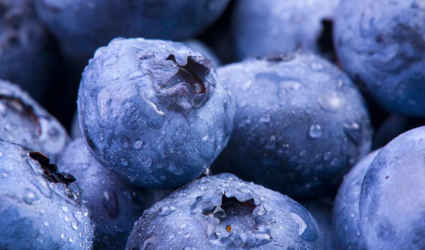 wall, blue, rub, color, Internet, seed, production, payment, berry, blueberries, photo wallpapers