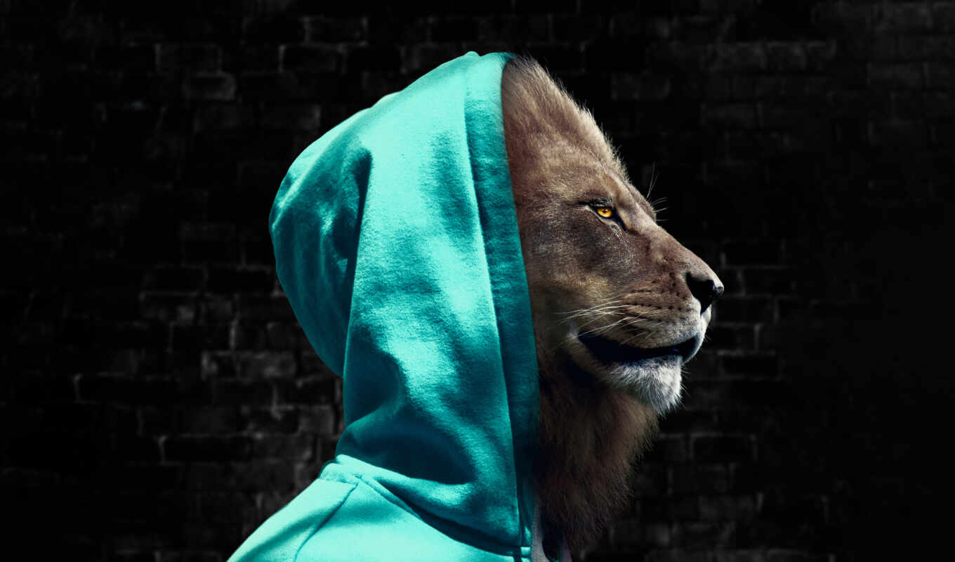 photo, art, jungle, background, lion, artist, hoodie