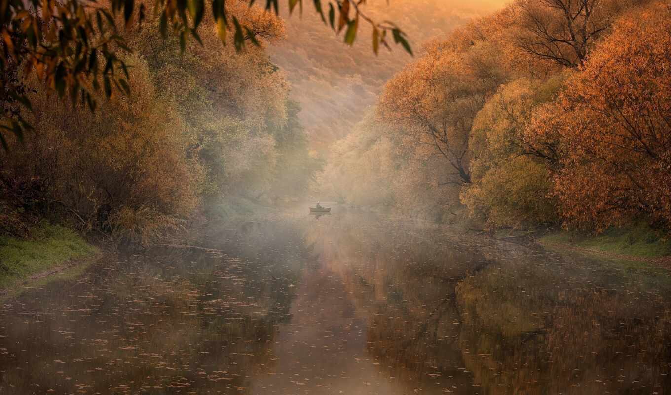 nature, autumn, morning, river, trees, fog