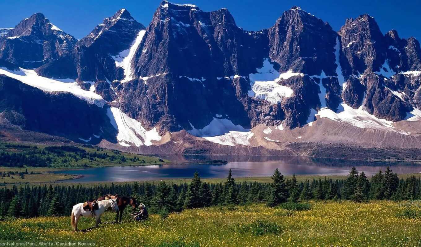 озеро, природа, лошадь, гора, канада, альберта, park, national, ковбой, jasper, pep