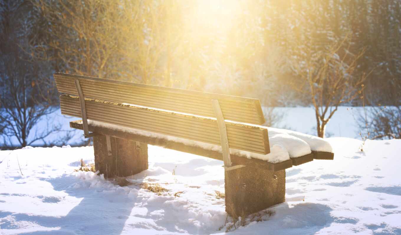 sun, снег, сквозь, trees, блестящий, скамейка, араффе