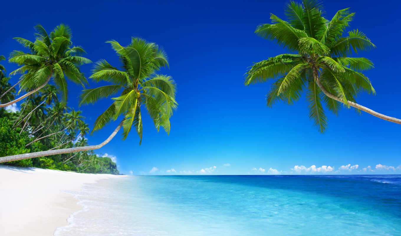 природа, небо, вода, пляж, море, океан, растительность, пальма, arecales, тропическая зона, карибский