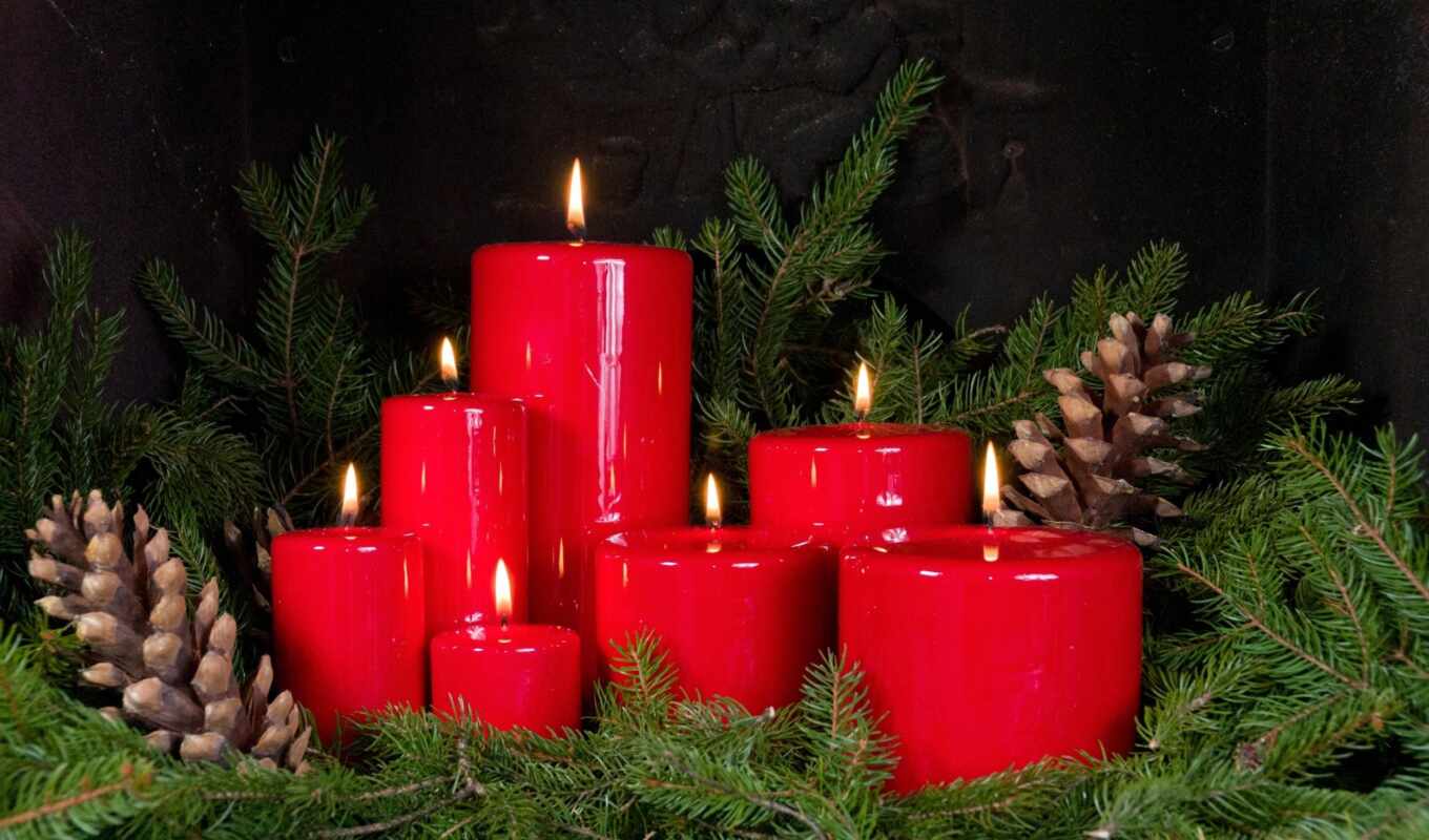 christmas, игла, pine, свеча, веточка, приключения, bump