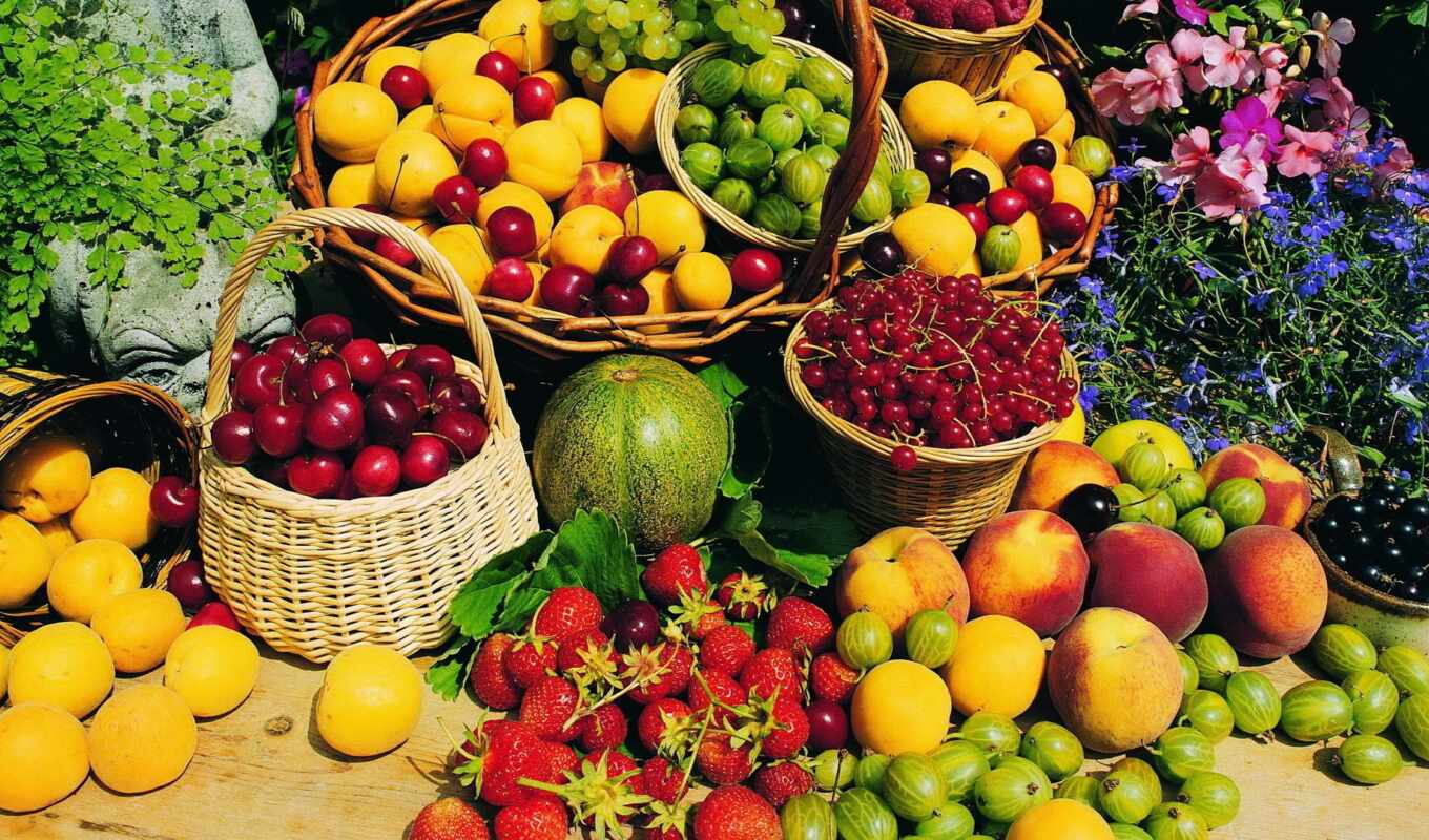 еда, плод, плакат, растительный