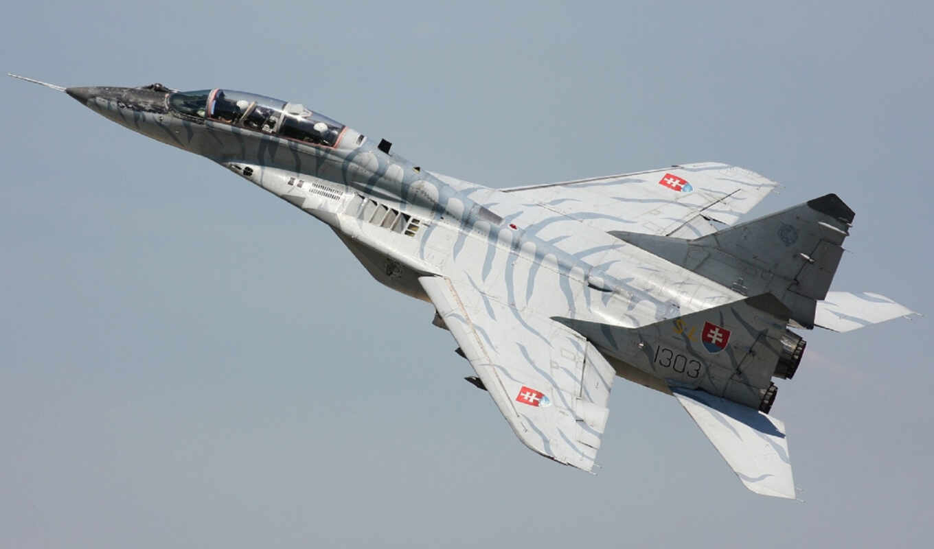 picture, russian, the fighter, reactive, the moment, rad, mig, fulcrum, related
