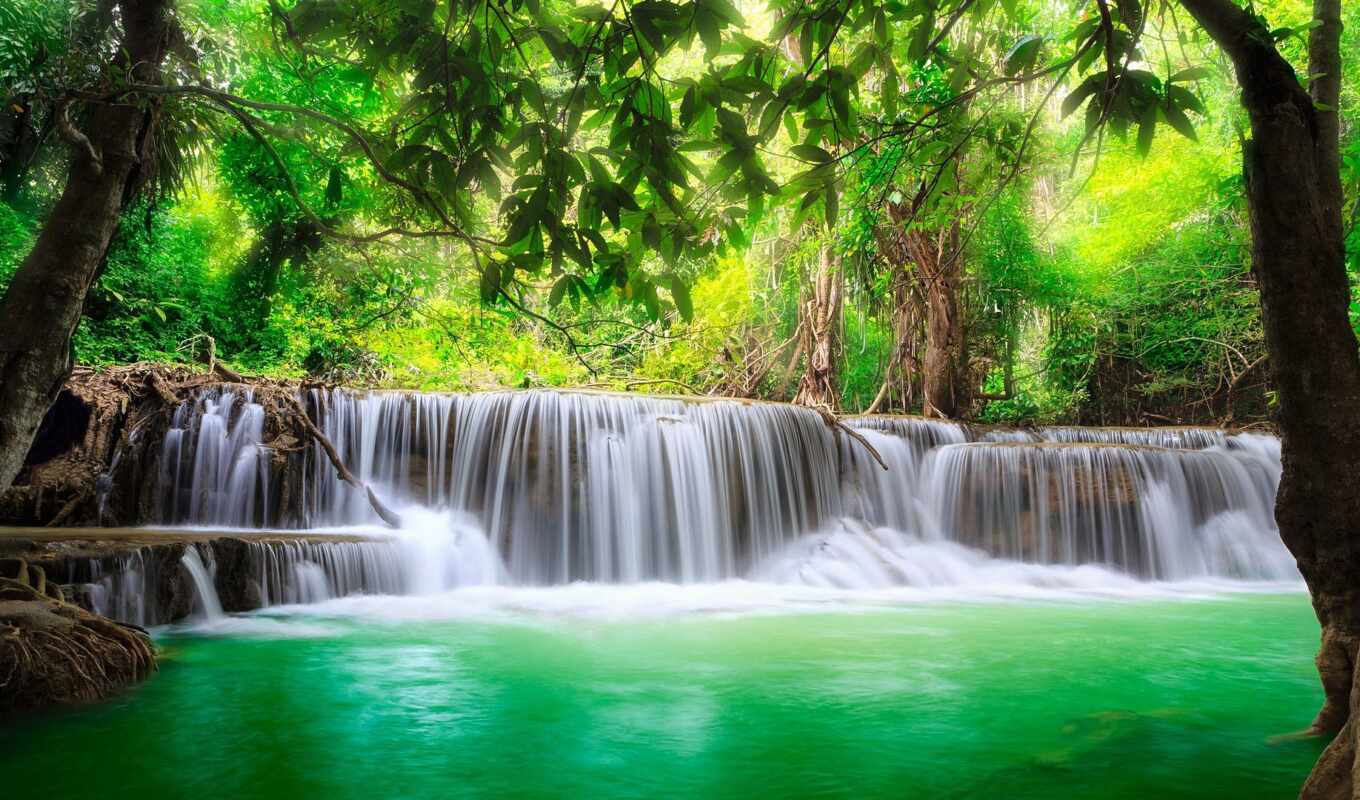 nature, background, tree, green, water, mouth, park, river, waterfall, tropical, fore