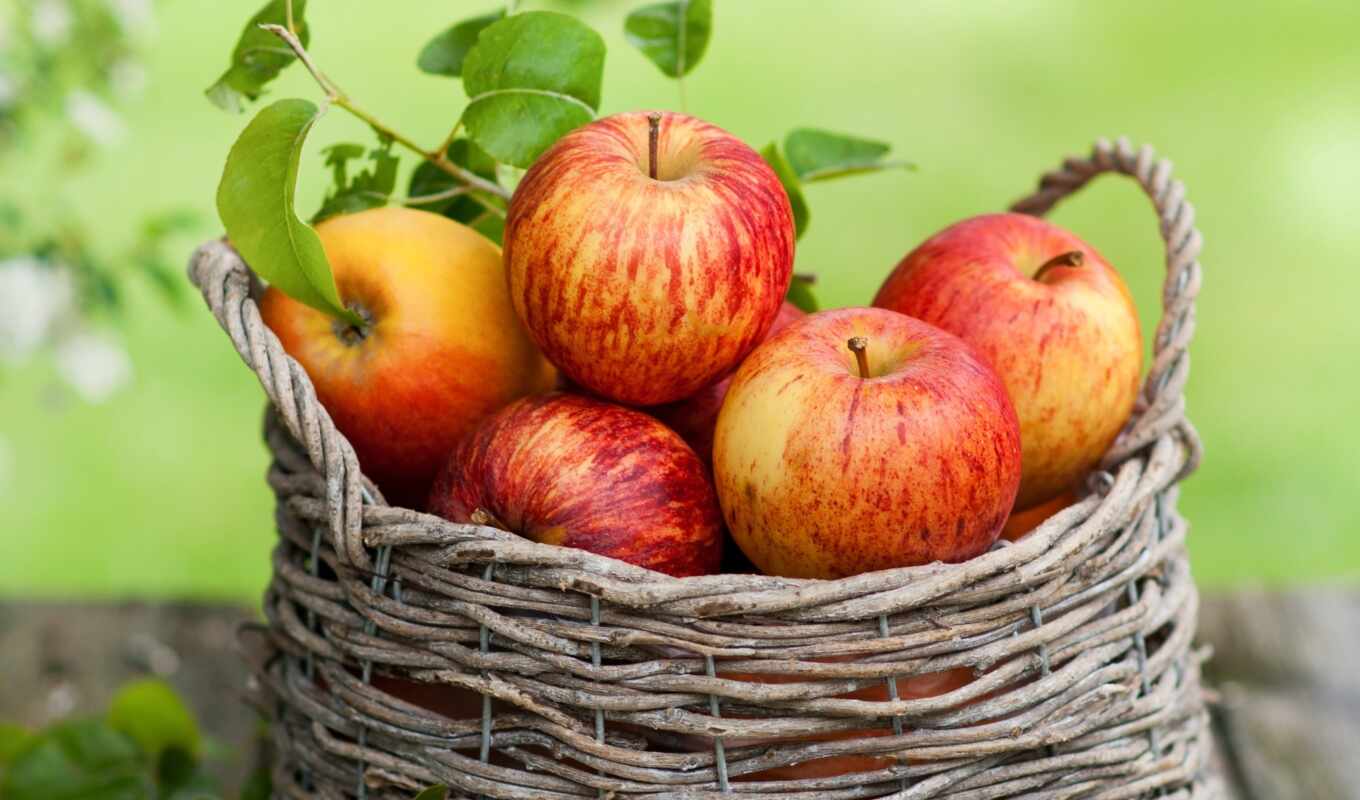есть, fone, apple, красные, ящики, корзина, яблоки, саду, яблок, сочные, корзине, органические