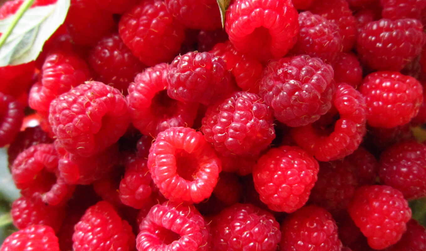 meal, photos, raspberry, different, excellent, screensavers, fruit, berries, dish, cakes