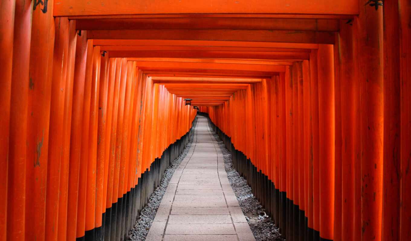 black, orange, Japan, shrine, kyoto, fushimus, inari