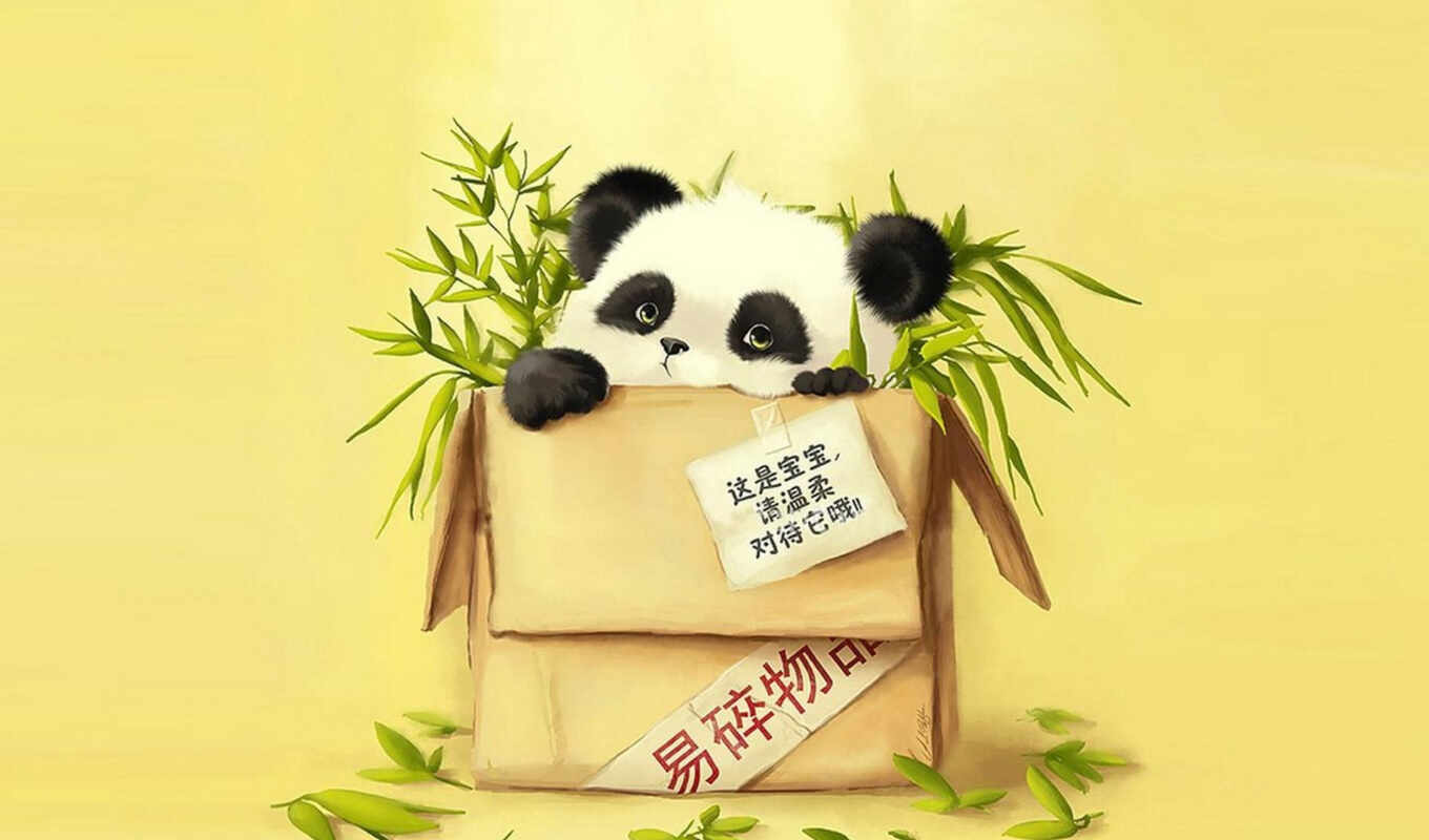 ipad, panda, bamboo, the package, a package