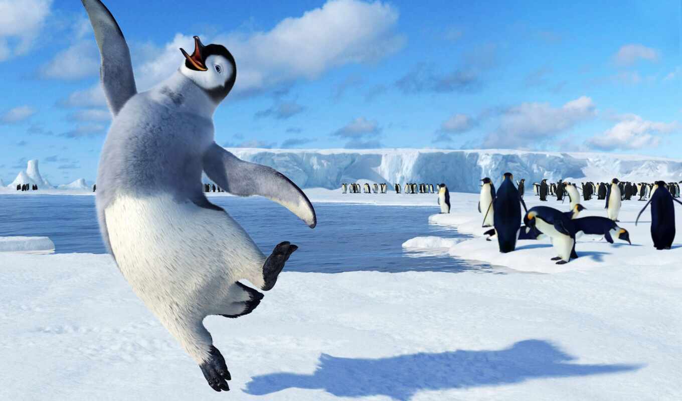 пингвин, целый, антарктида