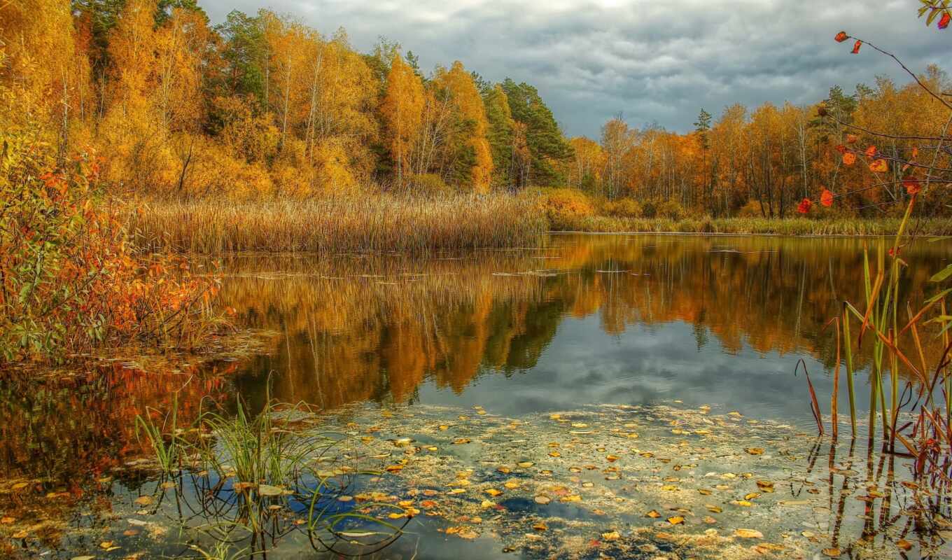 озеро, природа, картинка, года, time, осень, пруд, красиво, пасмурно