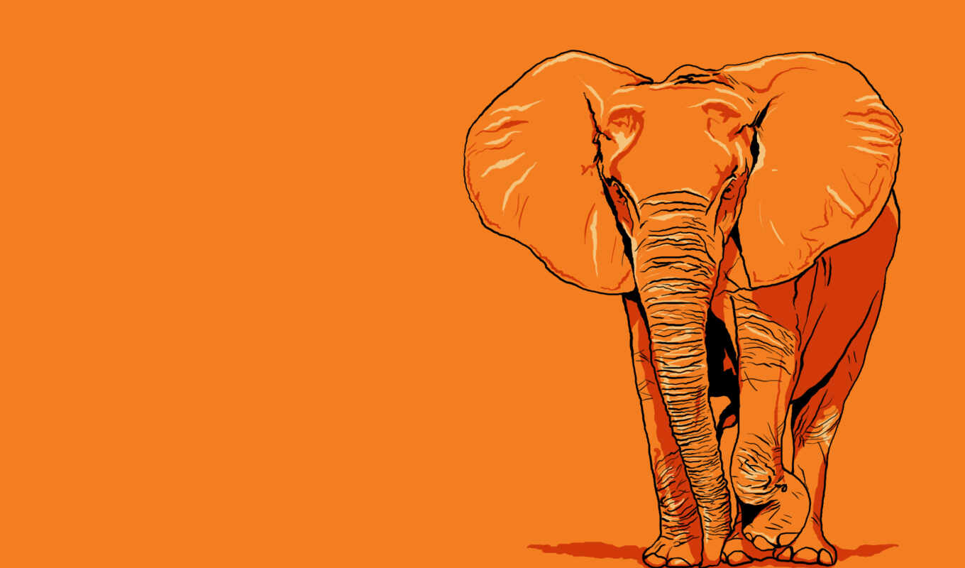 графика, рисунок, слон, оранжевый, гигант, слоник, карандашом