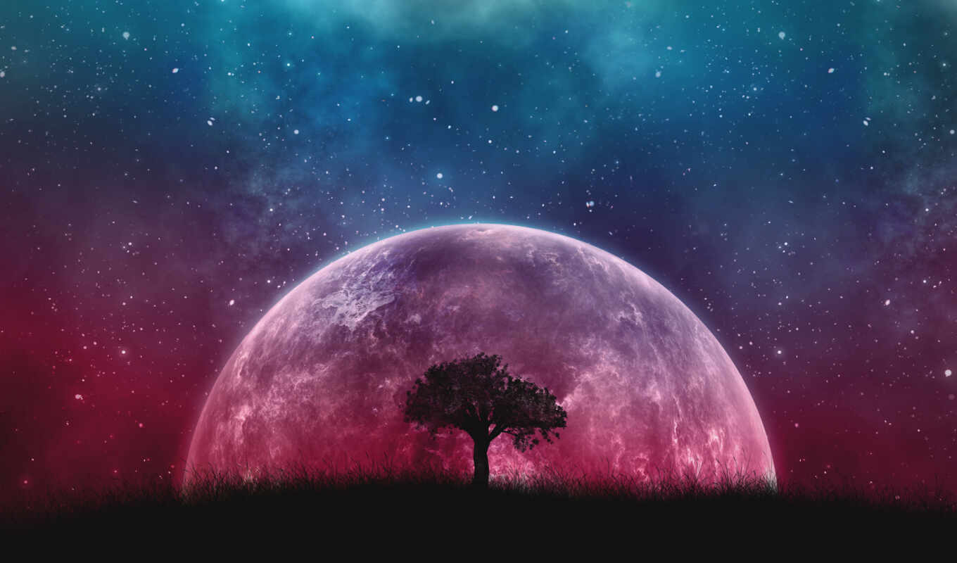 дерево, ночь, космос, planet, land, cosmic, астрономия
