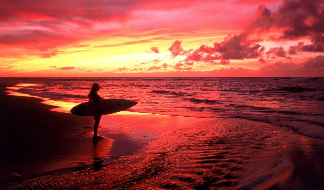 nature, the wall, surfing, surfer, photo wallpapers