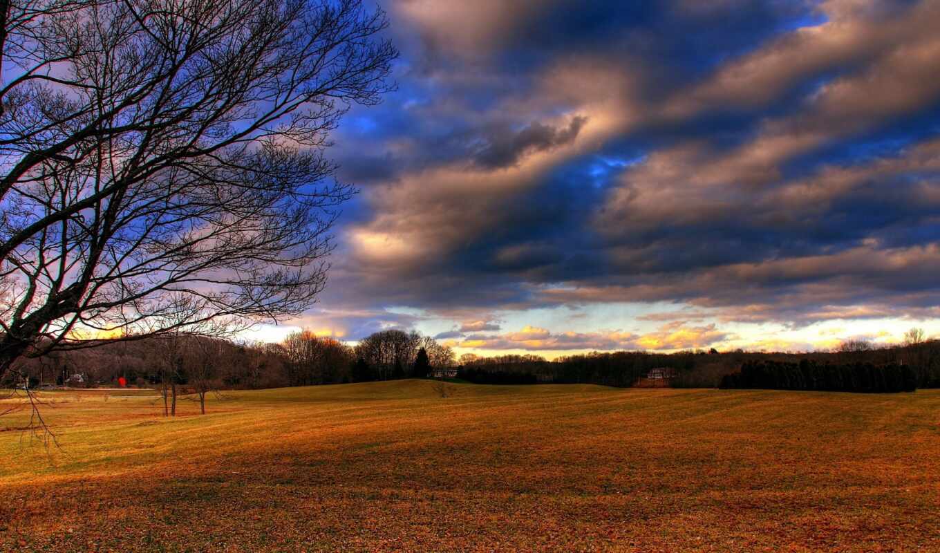sky, landscapes-, page, abstraction, tree, field, field, lions, fence, cloud