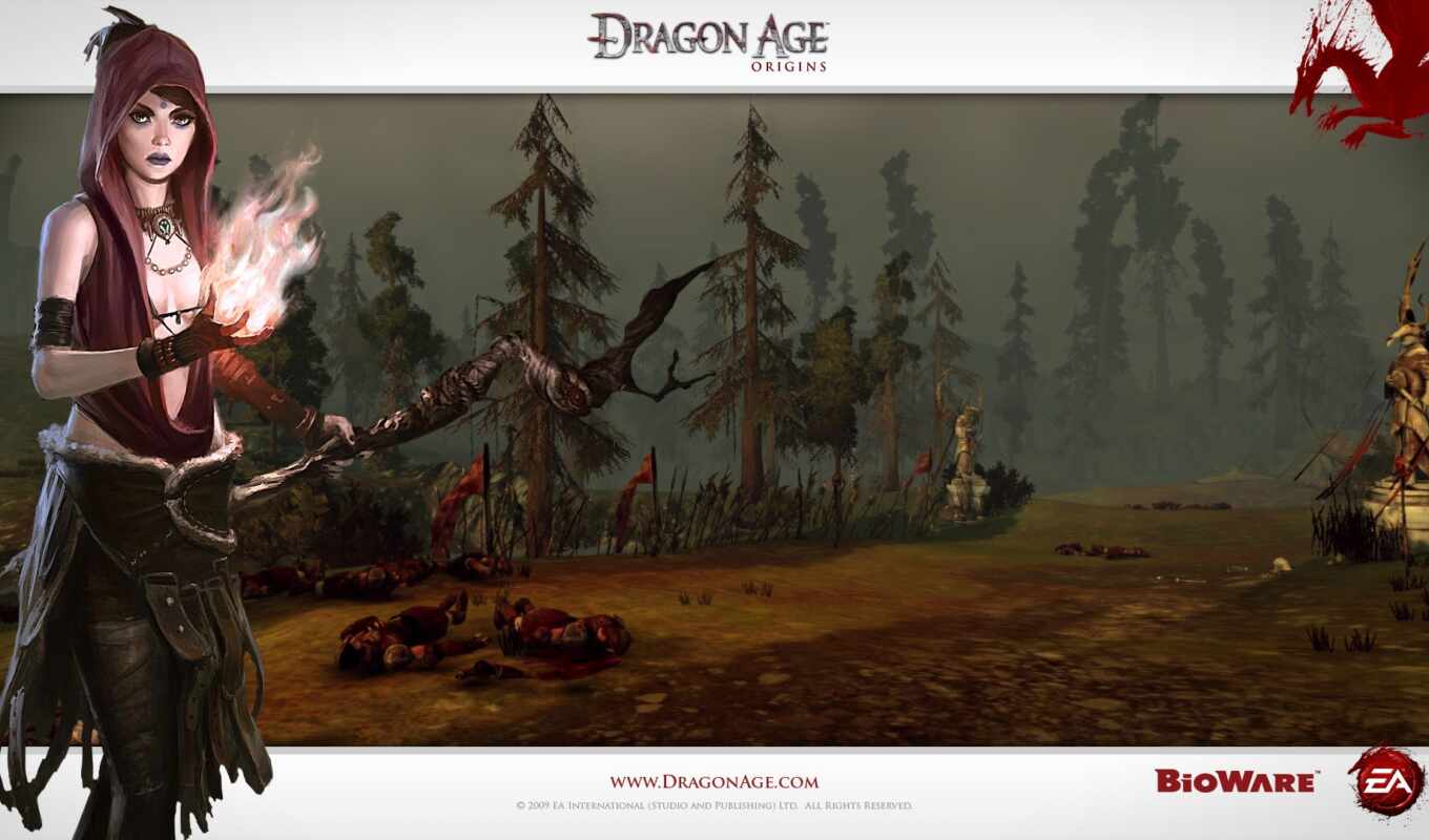 dragon, age, origin