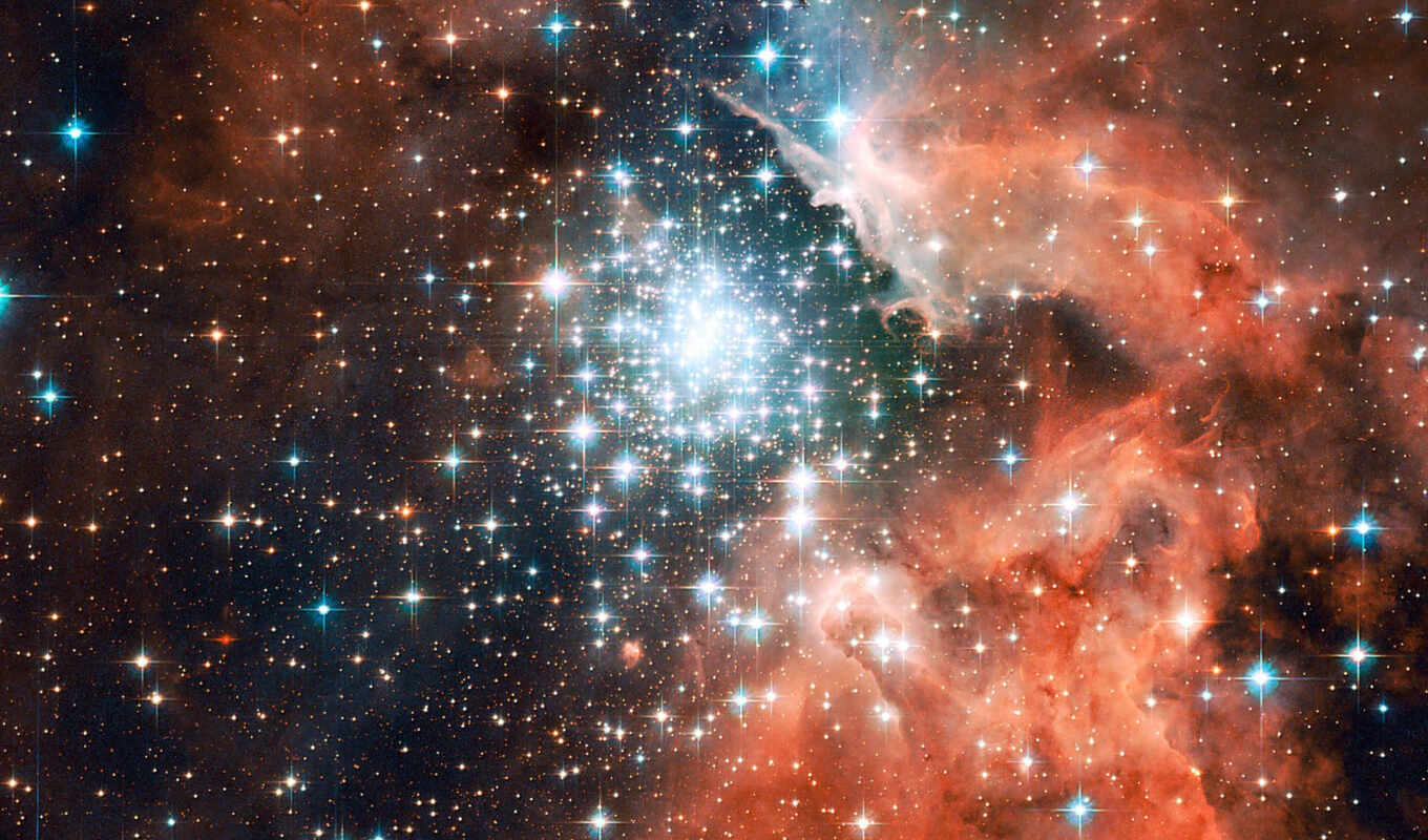 stars, the nebula