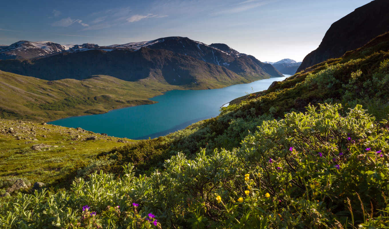 озеро, природа, summer, гора, national, fjord, norwegian, высокий, jotunheiman