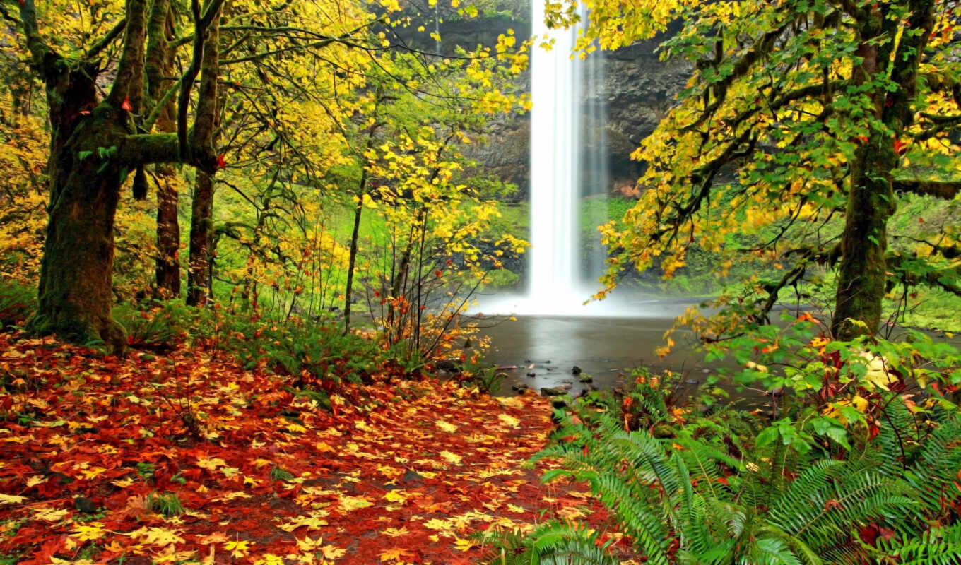 картинка, пейзаж, осень, водопад, trees, папоротник, водопады