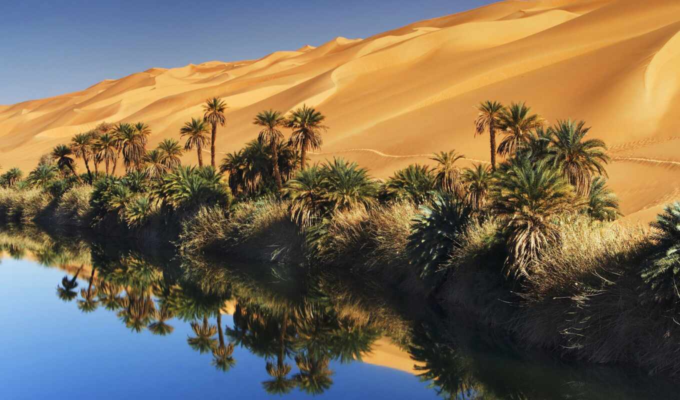 песок, пустыне, пустыня, озера, сказочный, оазис, убари, африканской
