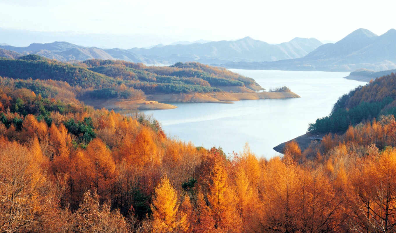 озеро, лес, korea, осень, north, горизонт, горы, chungjuho