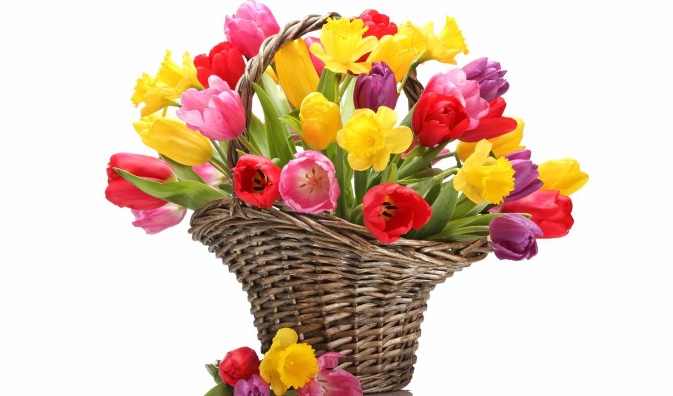 yellow, basket, tulips, bouquet, bouquets, cvety, martha, 8 march