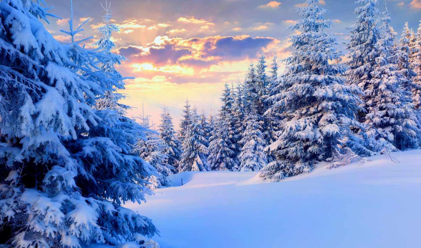 природа, фото, sun, дерево, diamond, снег, winter, лес, landscape, красивый, drawing