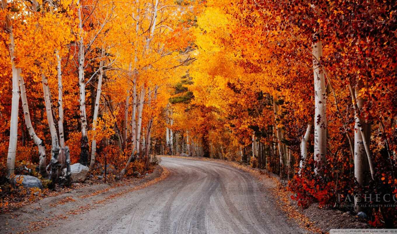 california, autumn, color