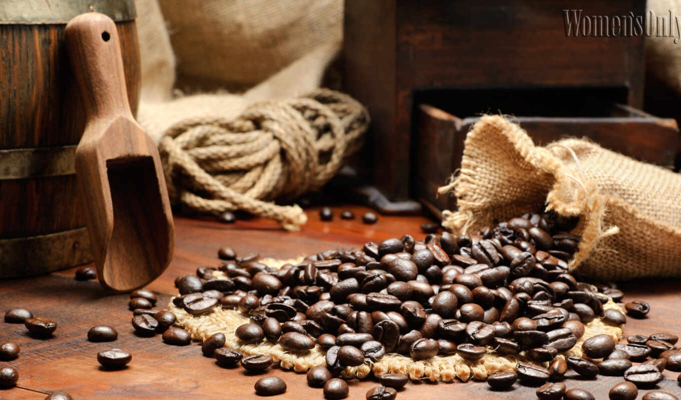 coffee, picture, shop, any, exclusive, seed, cheaply, photo wallpapers, walldeco, operational
