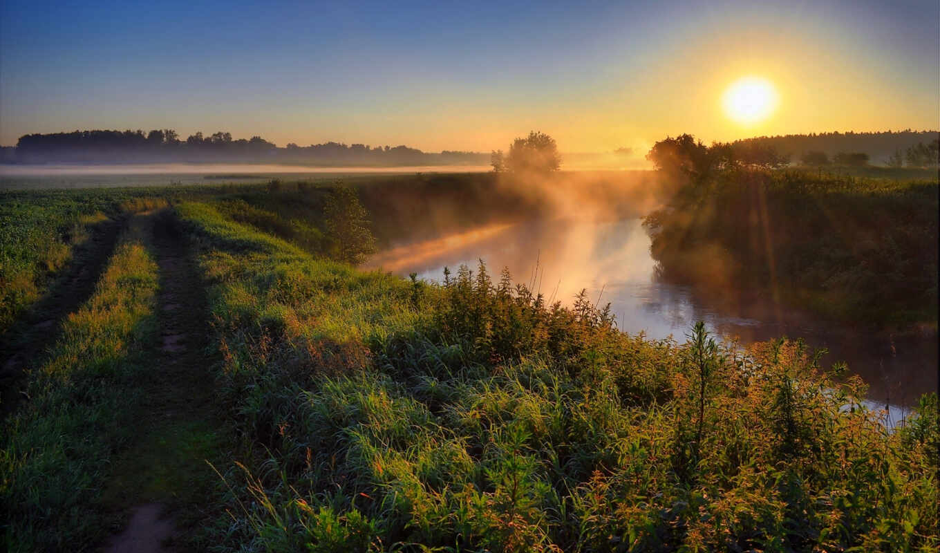 nature, with, sun, grass, sunrise, road, morning, river, trees, fog